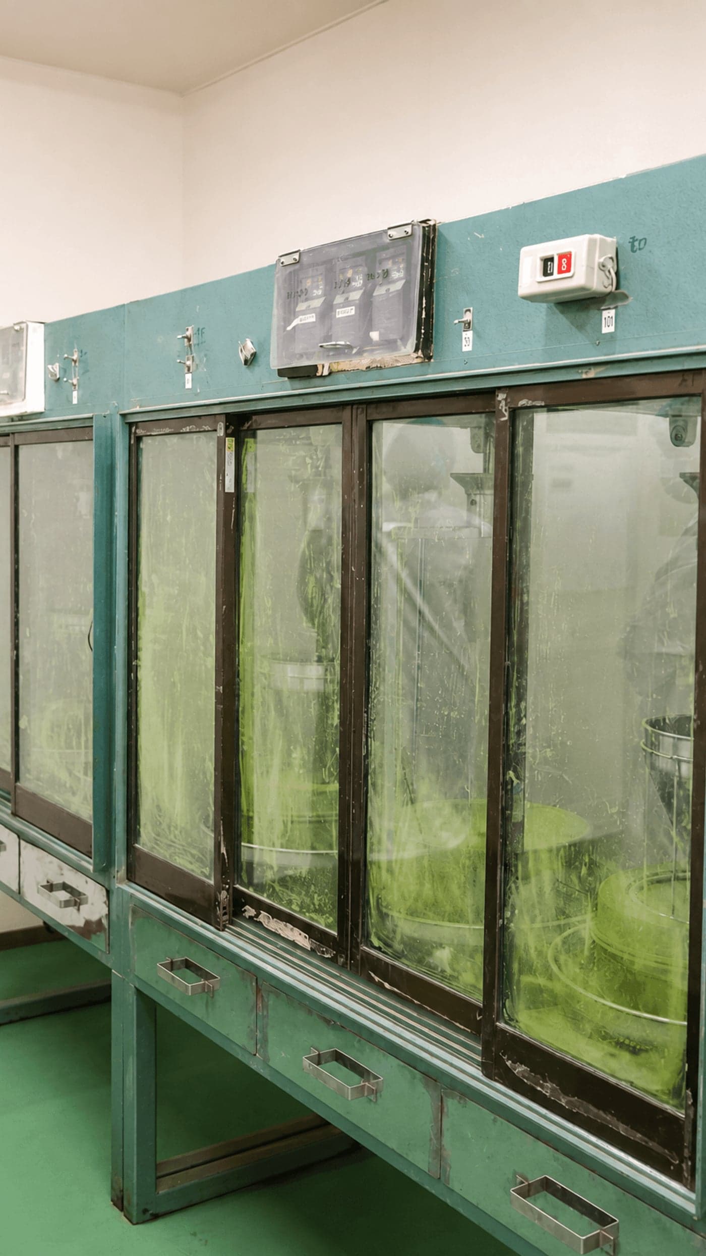 Japanese tea processing cabinets with green tea leaves