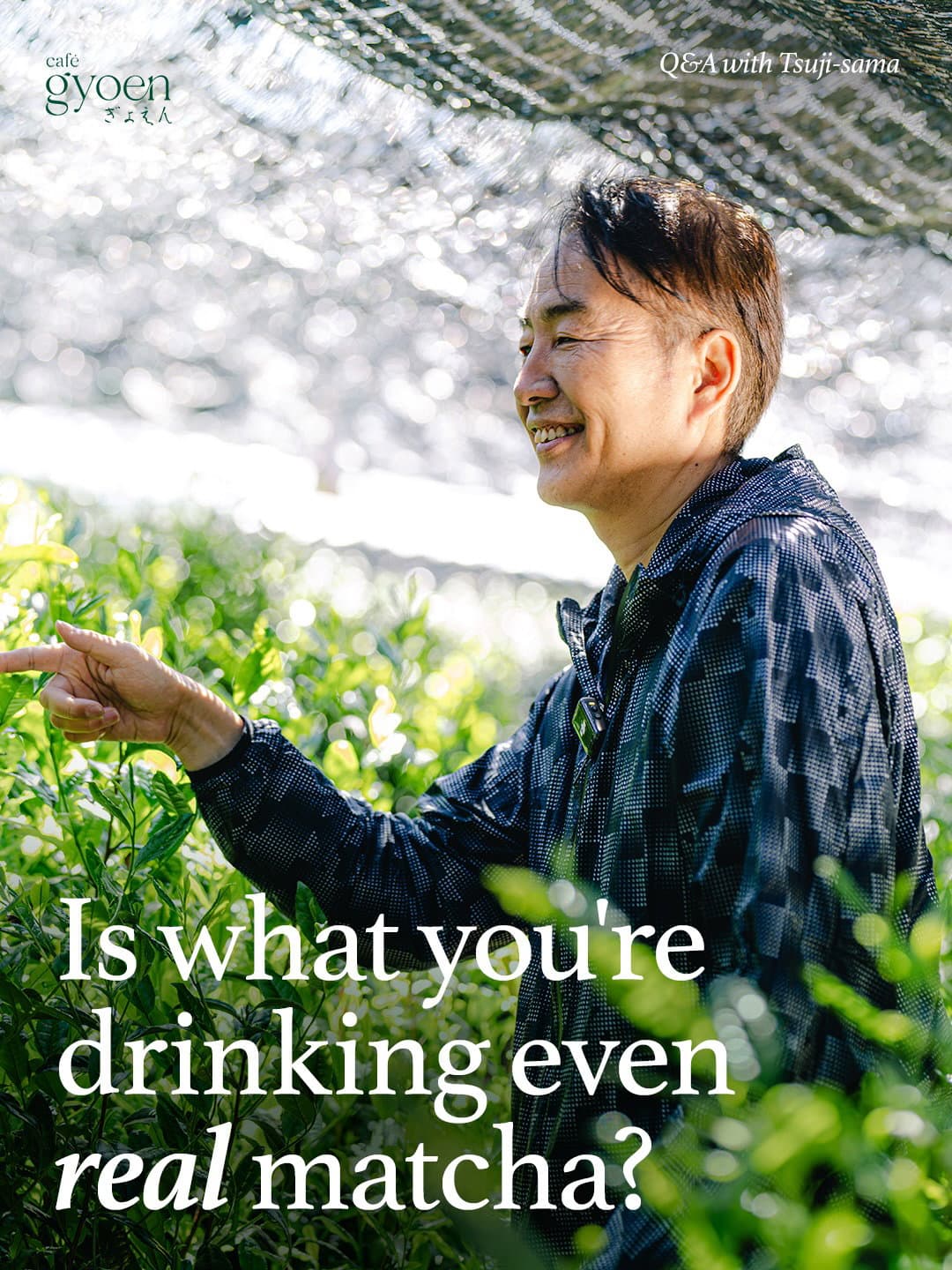 Forty years of harvests — a conversation with fifth-generation tea farmer Tsuji-sama